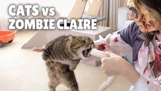 Cats vs Funny Zombie  Kittisaurus