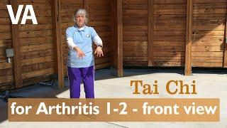 Tai Chi for Arthritis 1 - Front View 5 of 12