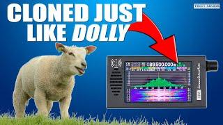 SDR 101 - DSP Receiver Thats Cloned More Than Dolly