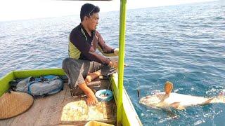 NEMU LOKASI SARANG IKAN KERAPU  pancing no 8 mampu taklukan ikan sebesar ini?