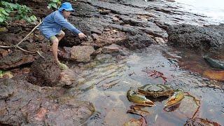 Giant King Crab Catch and Cook At the Beach - Giant Sea Crab Cooking with Big Wave  Wilderness Food