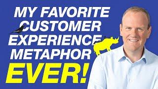 My favorite customer experience metaphor ever  - by Steven Van Belleghem