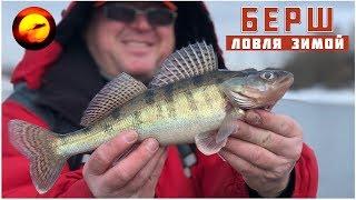 2019 winter fishing  Fishing for perch and Bursch  Jig on the Moskva river in Brateevo