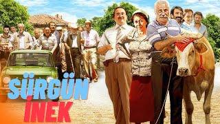 Sürgün İnek Türk Filmi  FULL HD  FIRAT TANIŞ