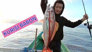 PERDANA JIGGING LAUT DALAM ‼️ LANGSUNG DI HAJAR BABON  KURISI