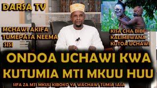 Sifa Za Mti Mkuu Kiboko Ya Wachawi  Ondoa Uchawi Nyumbani Kwako Kwa Mti Huu Ustaidh Jafar Mchawi