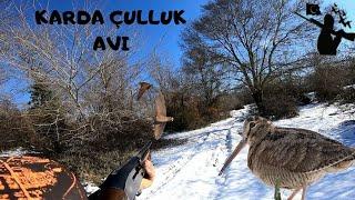 KARDA ÇULLUK AVI KÖPEKSİZ-WOODCOCK HUNTİNG-Охота на вальдшнеп