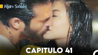 Pájaro soñador - Capitulo 41 Audio Español  Erkenci Kuş