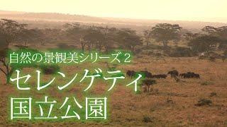 旅するように学ぶ世界遺産『セレンゲティ国立公園』～自然の景観美シリーズ②～