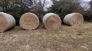 Greg Judy details simple steps for healing an overgrazed farm.