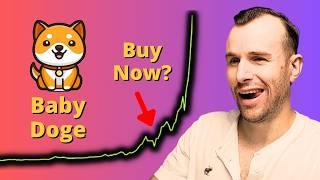 Why Baby Doge is up  Crypto Token Analysis