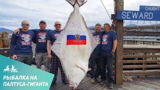 Гигантский палтус Аляски. Победа на чемпионате.