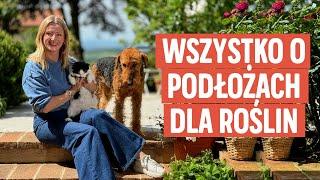 Podłoża do roślin - jak je dobierać i jak dbać o rośliny domowe  Ula Pedantula #457