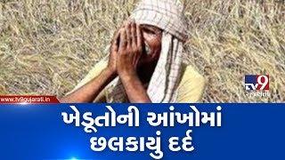 Ahmedabad Farmers face heavy losses due to unseasonal rain demand compensation  TV9