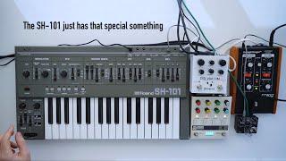 Roland SH-101 - classic synth sound with Chroma Console Bastl Kastle ARP Moogerfooger Polymoon