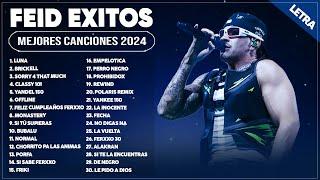 FEID MIX 2024 LETRA - MEJORES CANCIONES DE FEID - GRANDES ÉXITOS DE FEID - FEID LO MAS NUEVO 2024