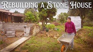 Walls Next Building a Sustainable Home from Scratch