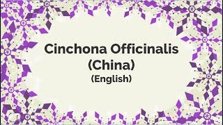 Personality of analytical person with great wisdom sensitive emotions- Cinchona Officinalis China