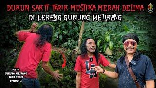 TARIK PAKSA MUSTIKA MERAH DELIMA di GUNUNG WELIRANG