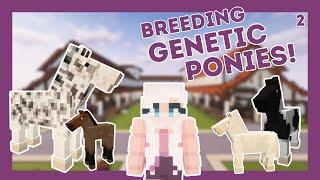 Breeding more genetic ponies Minecraft