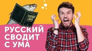 СТРАДАНИЯ ИНОСТРАНЦА  почему русский язык такой сложный?
