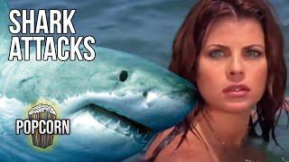 SHARK ATTACKS Baywatch Lifeguards Get Attacked By One Of the Seas Deadliest Predator Baywatch