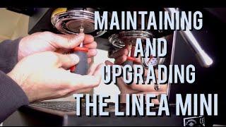 Maintaining and Upgrading the Linea Mini  How to Back Flush an Espresso Machine