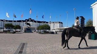 THE NICEST EQUESTRIAN FACILITY IN THE WORLD-  WORLD EQUESTRIAN CENTER