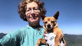 Hahn’s Peak - Miss Moonshine & Mr B at Summit Tower - Medicine Bow- Routt Forest CO - 360 view