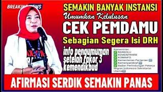  4 INFO PENTING PANSELNAS HARI INI UNTUK SEMUA PELAMAR PPPK