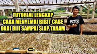 TUTORIAL LENGKAP MEMBUAT BIBIT  CABE CARA MENANAM CABE