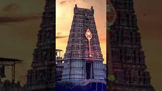 சந்தனம் பூசிய கந்தனின்…திருமுக தரிசனம் காண உன் வரமருள்வாயே #bhakti #devotionalsongs #bhaktisong