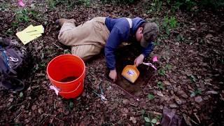 Archeology Field School in Talkeetna Alaska