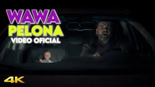 Wawa Pelona - Video Oficial