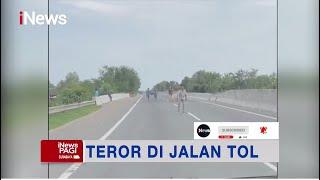 Polisi Tangkap Komplotan Pelempar Batu Terhadap Pengendara di Tol Belawan Medan #iNewsPagi 3009