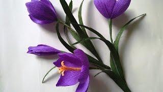 DIY   How to make paper  flower - crocussaffron- Hoa Nghệ Tây giấy nhún