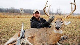 The Heavyweight 8- Giant 8 point buck