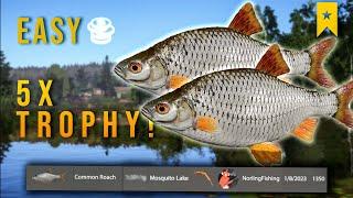 LOW LEVEL MONEY MAKING GUIDE COMMON ROACHMOSQUITO LAKE- Russian Fishing 4
