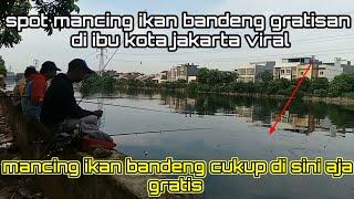 mancing ikan bandeng gratisan di ibu kota jakarta #viral #mancing #ikanbandeng