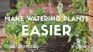 David Domoney How to water your plants easier