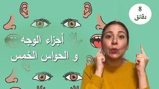 تعلم اجزاء الوجه و الحواس الخمسة للاطفال باللغة العربية  Learn Face Parts & 5 Senses in Arabic