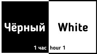 ️Быстрая смена цветов️1 час1hour Чёрный белый