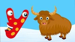 ABC Phonics with Animals  YAK  Letter Y