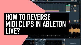 How to Reverse MIDI Clips in Ableton Live? Beginner Tutorial