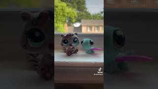 I tried lol Mostly the color pairing I based it off haha  #littlestpetshop #toys #lps #mini #fun