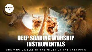 Deep Soaking Worship Instrumentals - He Who Dwells In The Midst Of The Cherubim  Apos. Arome Osayi