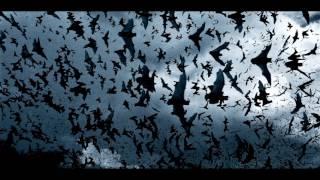 Bats Flying Sound Effect