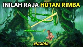 DIASUH GORILA DARI BAYI & TIDAK TAU DIRINYA MANUSIA #NGIDUL FILM TARZAN 1999