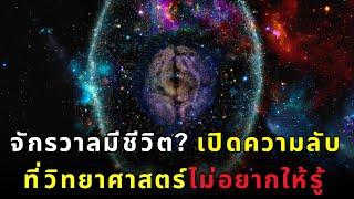 จักรวาลมีชีวิต ปริศนาควอนตัมสู่ความจริงหนึ่งเดียว