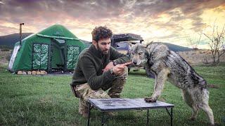 HOT TENT CAMP WITH STOVE IN THE WILD WITH THE WOLF